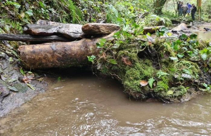 The campaign to improve fish habitats continues in Aude