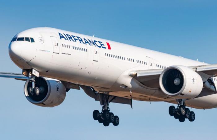 Air France suspends some flights, crew spot luminous object