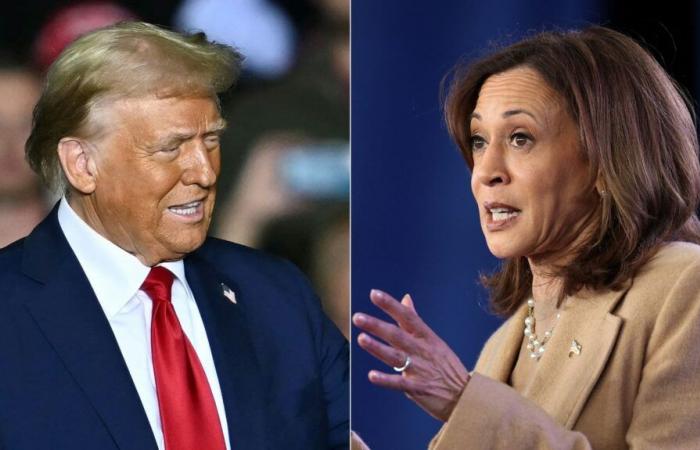 Kamala Harris or Donald Trump, what would their first day in the White House look like?