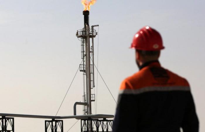 OPEC postpones increase in oil production