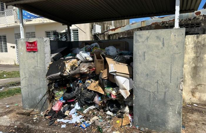 Irregular garbage collection in the Urban Renovation district of Cayenne forces residents to endure unbearable unsanitary conditions.