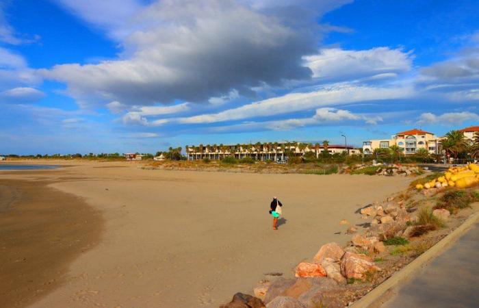 Before dying of a brain tumor, she gathered all her friends one last time on the beach in Sète