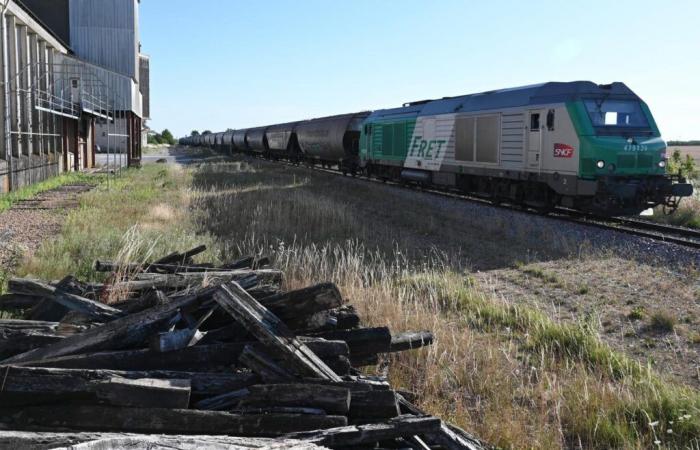 Fret SNCF will be replaced by Hexafret and Technis, from January 1, 2025