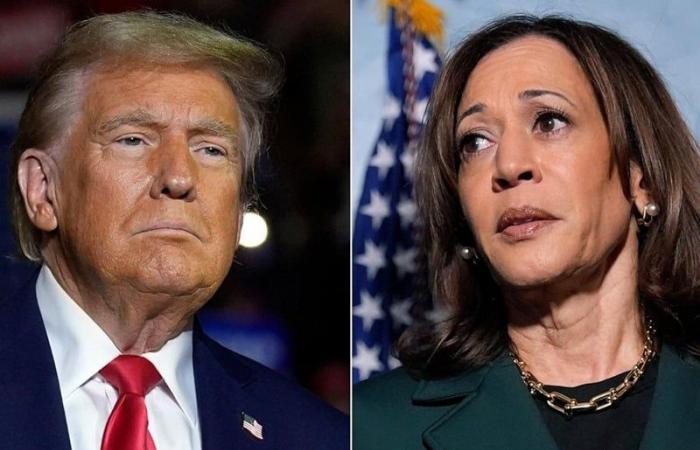 Who will win the election, Trump or Harris?