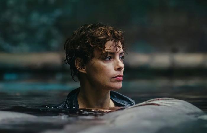 Bérénice Bejo announces a sequel to this “shark film” that broke everything