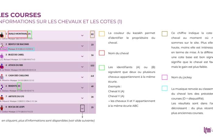 Take part in the LFM casting and sing on stage with “L’Héritage Goldman”!