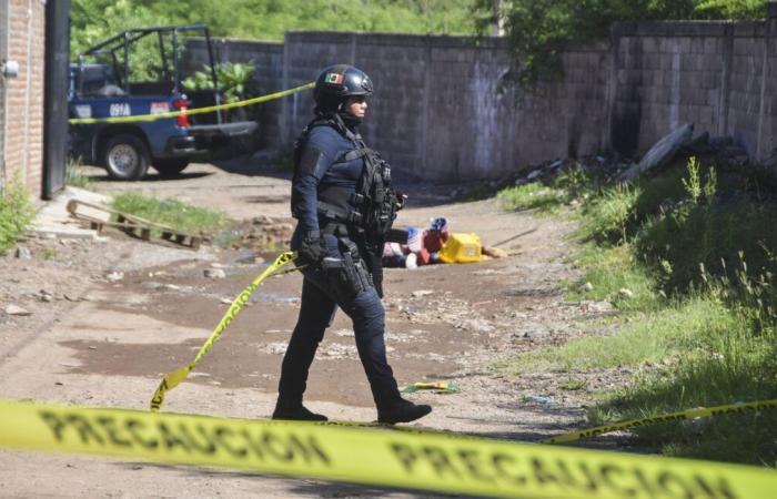 An Acapulco family decimated by an armed commando