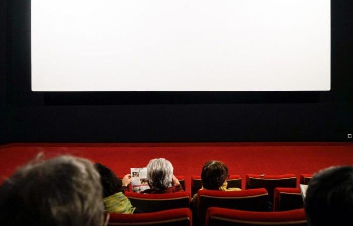 French successes boost theater attendance