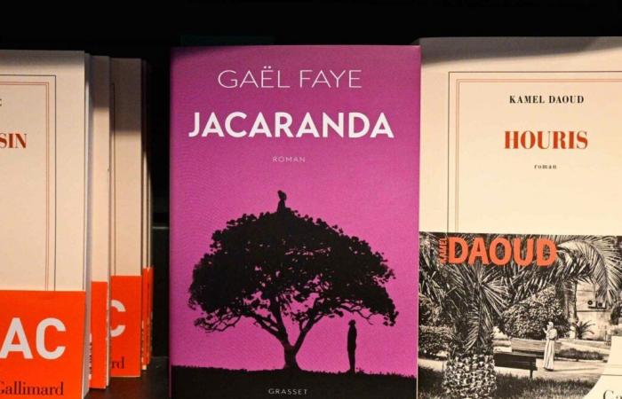 The Goncourt prize awarded to Kamel Daoud, Gaël Faye obtains the Renaudot