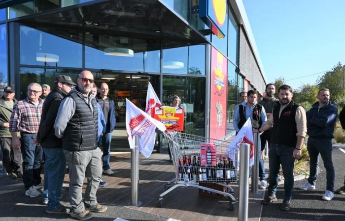 “A distress call because the sales prices are too low” for the Gard winegrowers who demonstrated at the Lidl in Bagnols-sur-Cèze