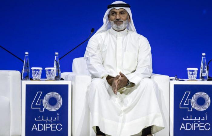 OPEC+ countries will wait until the end of December to produce more