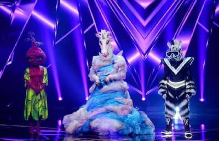 “Masked singers”: the unicorn’s turn to reveal its identity