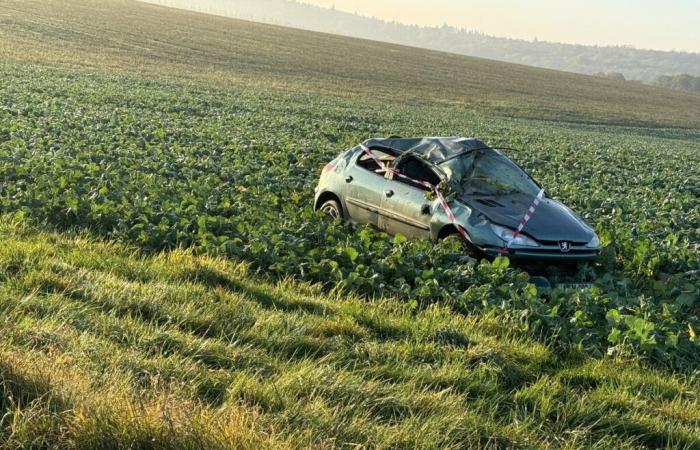 Leave the road and rollover(s) on the RD417 near Laville-aux-Bois