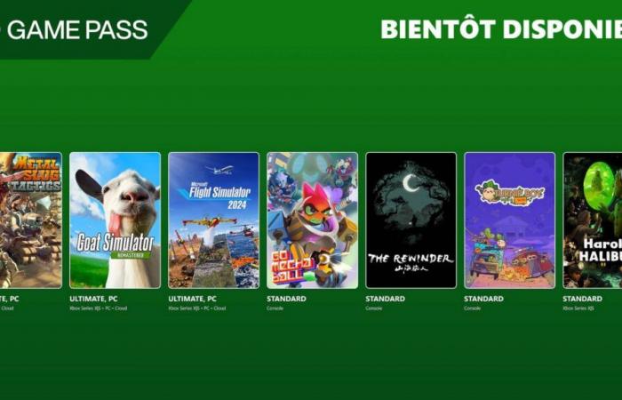 Xbox Game Pass November 2024: 8 new games and 5 added to the Standard offer | Xbox