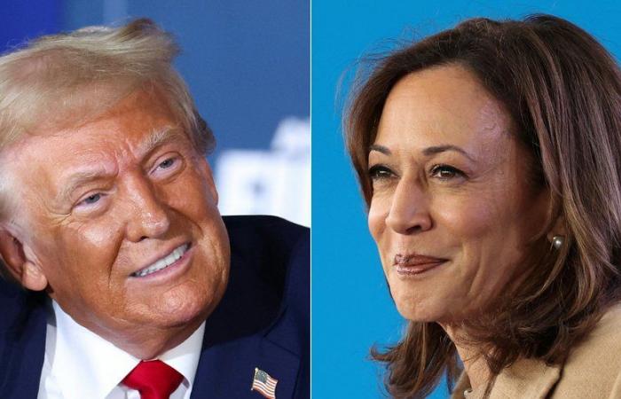 American presidential poll: Donald Trump and Kamala Harris neck and neck… what do the latest surveys say 24 hours before the election?