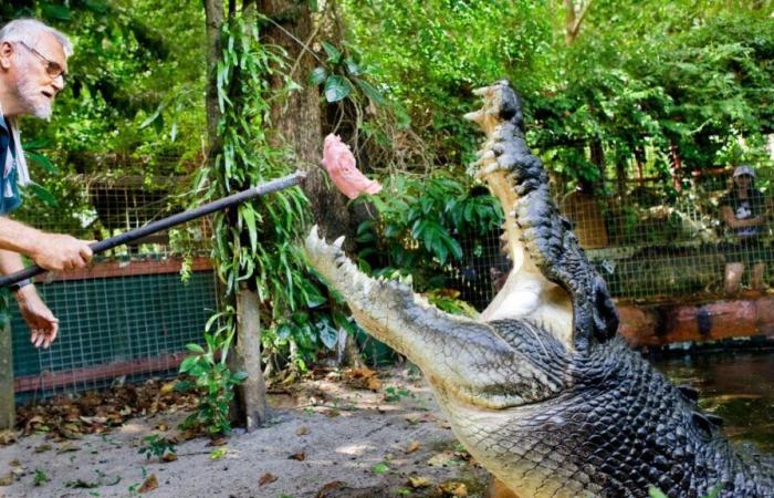 Cassius, the world’s largest crocodile, dies at 120