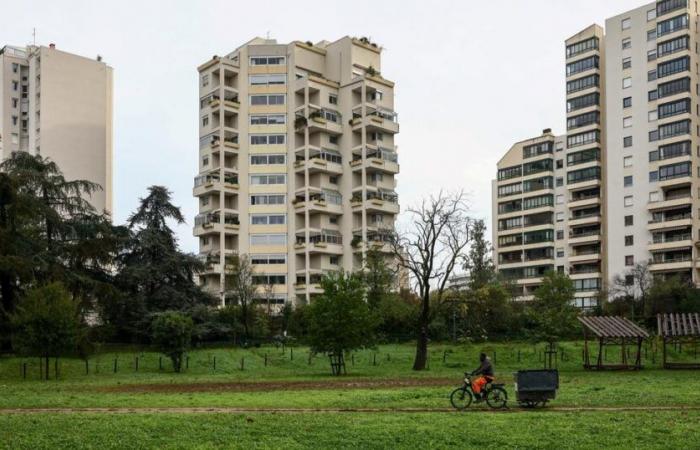 A new shooting murder in the Tonkin district of Villeurbanne