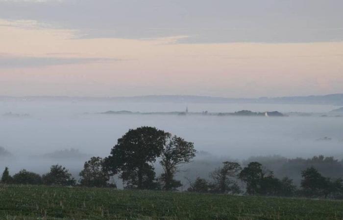 Why does this fog persist and sign in Loire-Atlantique