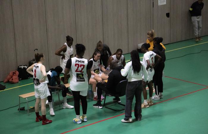 Lons-le-Saunier. ALL Jura Basket: a season marked by determination | Weekly 39