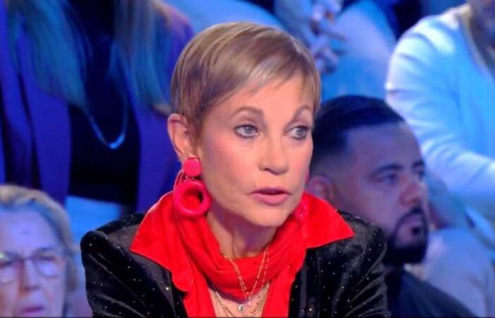 “Unbelievable violence”, accused of racism, Isabelle Morini-Bosc restores the truth in “TPMP”