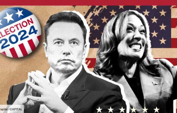 between Trump and Harris, Elon Musk wins