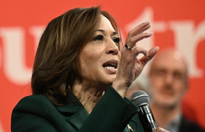 Harris Leads Crucial Swing State In New Poll