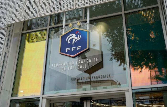 pro-Palestinian activists occupy FFF headquarters in bid to cancel match