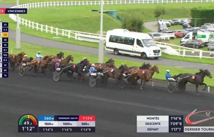 Quinté+: Quinté+ from Tuesday November 5 at Paris-Vincennes: Analysis and decryption of the reference race