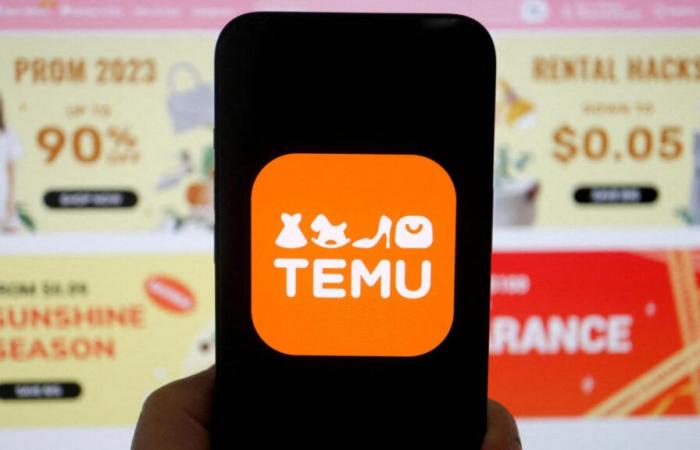 Temu, the Chinese e-commerce giant in the sights of the EU