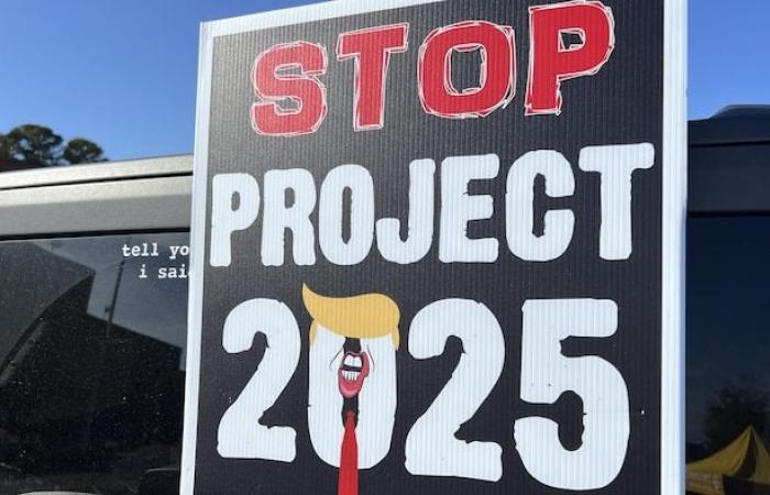 “A poster doesn’t vote! »: the efforts of both camps to snatch victory | US elections 2024