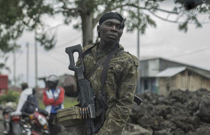 DRC: M23 takes Kamandi Gîte, while diplomacy progresses in Luanda