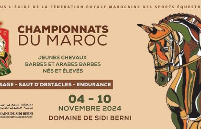 What you need to know about the 9th edition of the Moroccan dressage, show jumping and endurance championship