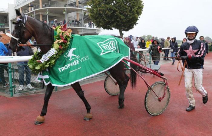 Nantes Harry de Sassy makes Jules Leroulley happy