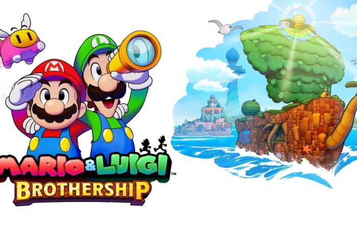 Test de Mario & Luigi: Brothership