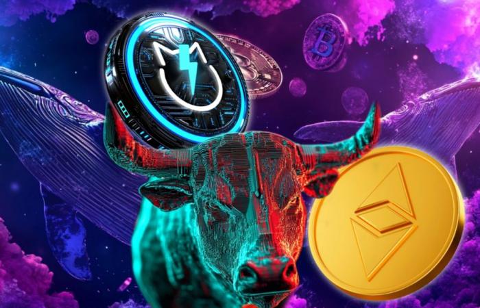 can ETH grow 1000% during the bull run as whales pump JetBolt?