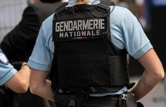 Violent ax fight in an RER near Paris: what we know