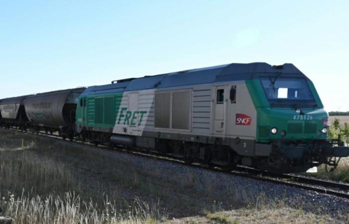 Fret SNCF will disappear despite the anger of the unions – 04/11/2024 at 7:52 p.m.