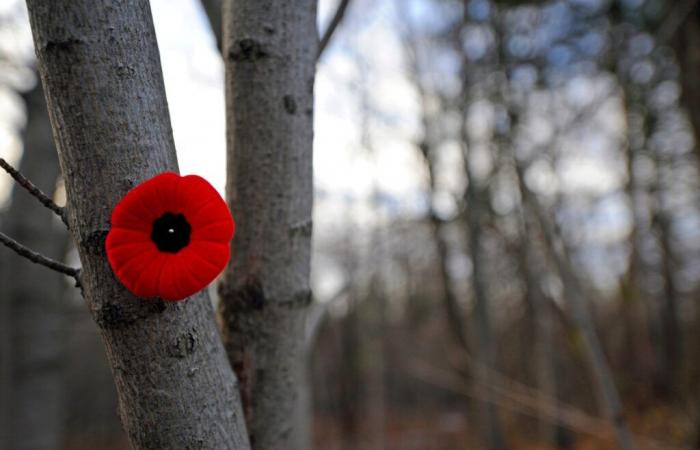 Remembrance Day, a commemoration to never forget