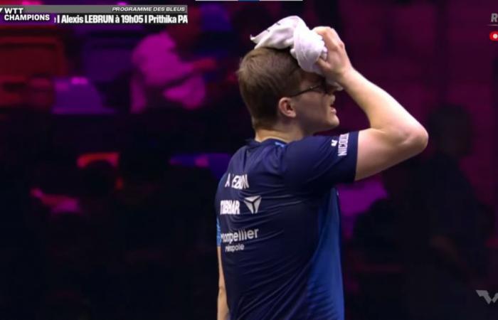 Table tennis | Alexis Lebrun offers the non-comeback of the year!