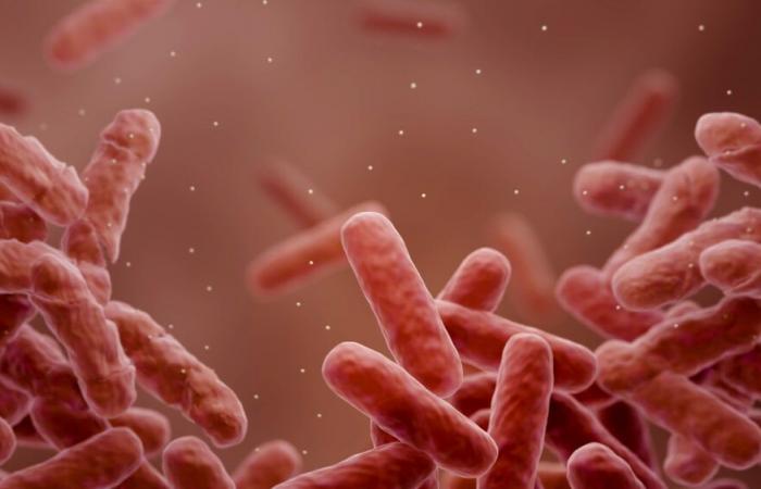 Tuberculosis once again becomes the deadliest infectious disease