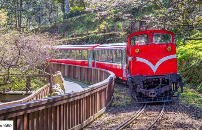 “It’s like diving into another world”: in Taiwan, a picturesque train to visit the past