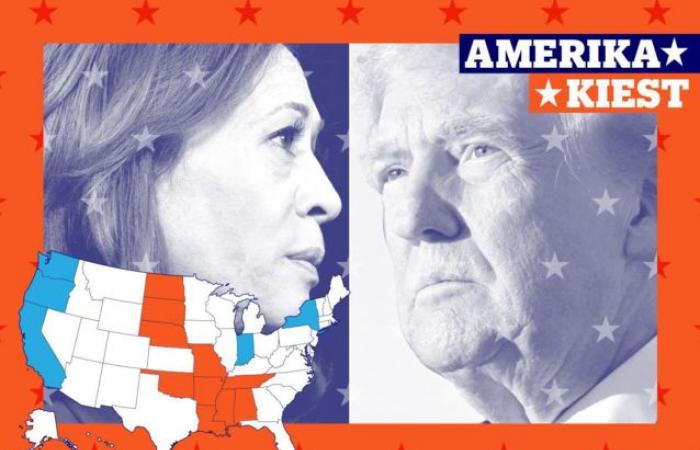 US election results 2024: view the results of Kamala Harris and Donald Trump here