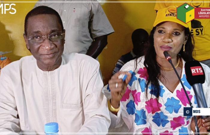 SENEGAL-LEGISLATIVES-CAMPAIGN / In Kédougou, Mamadou Racine Sy promises to be the voice of retirees in the National Assembly – Senegalese Press Agency