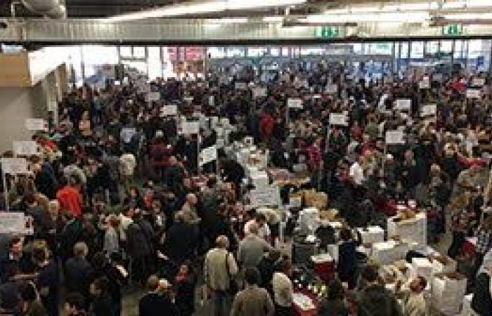 Independent winegrowers from Burgundy and Jura at the show from November 8 to 10 at the Nancy Exhibition Center