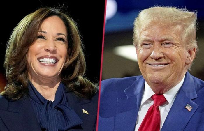 US election: Trump vs. Harris – What do the candidates stand for? | policy