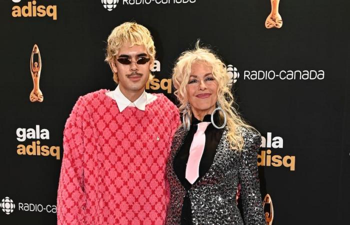 ADISQ Gala 2024: Here are the most beautiful looks of the artists on the red carpet