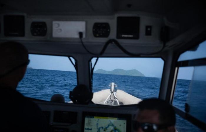 At least 25 people died “after the deliberate sinking of their boat by traffickers”, between the Comoros and Mayotte, according to the IOM