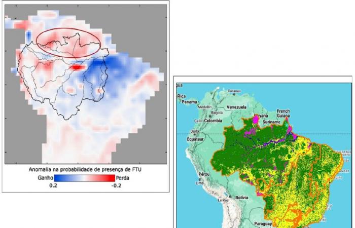 the weakening of the Atlantic ocean current could lead to the collapse of the Amazon rainforest!