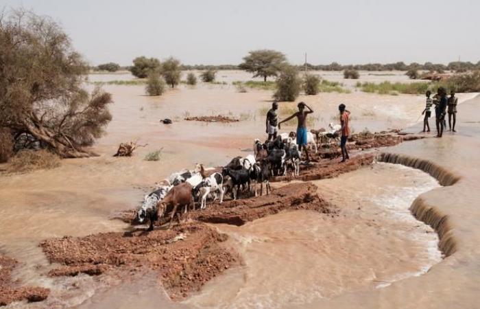 In Senegal, floods displace more than 56,000 people in the east of the country