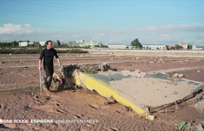 a brother and a sister desperately search for their father, a truck driver swept away by the waves